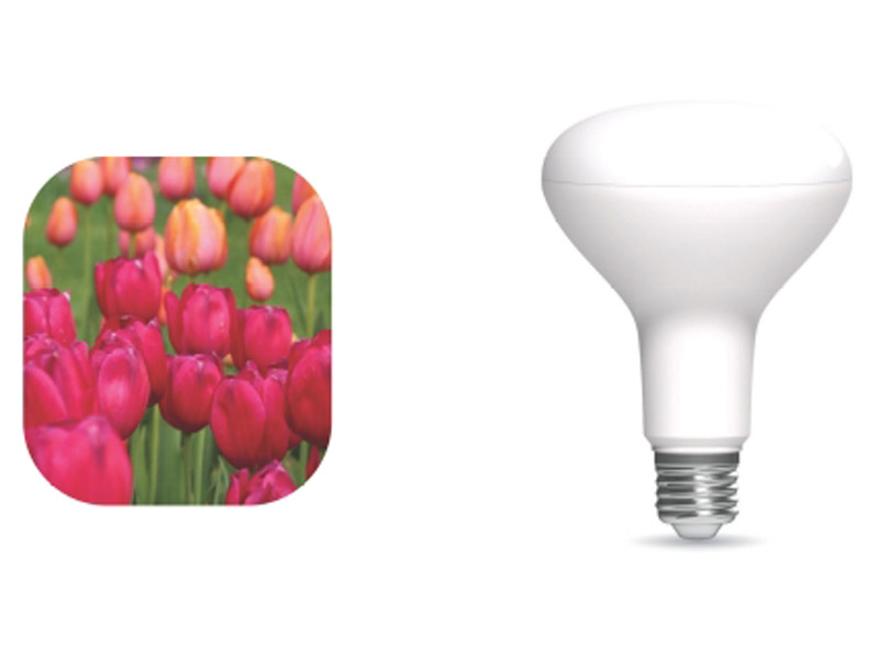 Växtlampa med E27-sockel och specialanpassat ljus för att främja växttillväxt, visas tillsammans med blommande tulpaner.